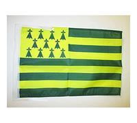 AZ FLAG - Drapeau Bretagne Melen Ha Gwer - 45x30 cm - Pavillon Breton Jaune Et Vert - Nantes 100% Polyester Avec Deux Cordelettes - 20g
