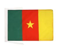 AZ FLAG Drapeau Cameroun 45x30 cm Camerounais Polyester 100D Cordelettes