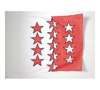 AZ FLAG Drapeau Canton du Valais 90x90 cm Du Wallis Polyester 100D Fourreau