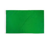 AZ FLAG - Drapeau Commissaire de course Vert - 90x60 cm - Drapeau Fin De La Zone De Danger 100% Polyester Avec Oeillets Métalliques Intégrés - Pavillon 50 g