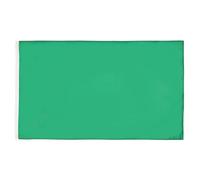 AZ FLAG - Drapeau Commissaire de Course Vert - 90x60 cm - Polyester léger - Drapeau Fin De La Zone De Danger avec Oeillets Métalliques Intégrés - 40g