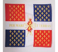 AZ FLAG - Drapeau Compagnies franches de la Marine - 90x90 cm - Drapeau Royaume De France 100% Polyester Avec Fourreau et Cordelette - Pavillon 80 g