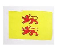 AZ FLAG Drapeau Comté de Bigorre 45x30cm - PAVILLON duché de Gascogne 30 x 45 cm Haute qualité