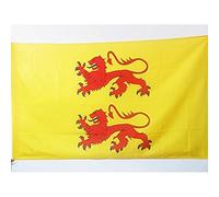 AZ FLAG - Drapeau Comté de Bigorre - 90x60 cm - Drapeau Duché De Gascogne 100% Polyester avec Fourreau et Cordelette - Pavillon 50 g