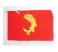 AZ FLAG Drapeau Comté de Forez 45x30cm - PAVILLON forézien - Saint-Etienne 30 x 45 cm Haute qualité