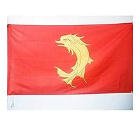 AZ FLAG - Drapeau Comté de Forez - 90x60 cm - Drapeau Forézien - Saint-Etienne 100% Polyester Avec Fourreau et Cordelette - Pavillon 50 g