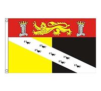 AZ FLAG Drapeau Comté de Norfolk avec armes 150x90 cm 2 Œillets | Usage intérieur et extérieur Drapeau décoratif Norfolk county with arms coutures doubles et bords renforcés polyester 100D