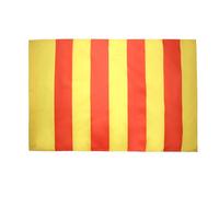 AZ FLAG - Drapeau Comté de Provence - 90x60 cm - Drapeau Provençal 100% Polyester Avec Fourreau et Cordelette - Pavillon 50 g