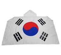 AZ FLAG Drapeau Corée du Sud 150x90 cm - Cape Drapeau Coréen 100% Polyester Avec Manches Intégrées - Body Flag 80g