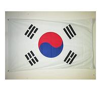 AZ FLAG - Drapeau Corée du Sud Spécial Extérieur - 150x90 cm - Drapeau Coréen En Maille Bloquée Avec Anneaux Plastiques Intégrés - 170g