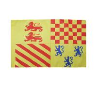 AZ FLAG Drapeau Corrèze 90x60 cm Drapeau Français Polyester 100D Fourreau | Usage intérieur et extérieur Drapeau décoratif coutures doubles et bords renforcés avec fourreau pour mât