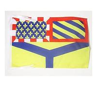 AZ FLAG - Drapeau Côte d'Or - 45x30 cm - Pavillon Département Français - Bourgogne 100% Polyester Avec Deux Cordelettes - 20g