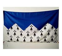 AZ FLAG Drapeau Côtes-d'Armor 150x90 cm Français Polyester 100D Fourreau