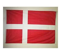 AZ FLAG - Drapeau Danemark Spécial Extérieur - 150x90 cm - Drapeau Danois En Maille Bloquée Avec Anneaux Plastiques Intégrés - 170g