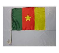 AZ FLAG Drapeau de Voiture Cameroun 45x30 cm Maille Bloquée Ventouse
