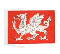 AZ FLAG - Drapeau Dragon Blanc D'Angleterre - 45x30 cm - Pavillon Anglais - Saint Georges 100% Polyester Avec Deux Cordelettes - 20g