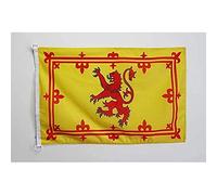 AZ FLAG - Drapeau Ecosse Royal - 45x30 cm - Pavillon Nautique Écossais Spécial Bateau Et Extérieur En Maille Bloquée Avec Anneaux Plastiques Intégrés - 30g