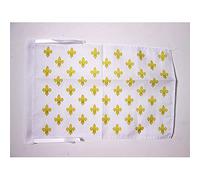 AZ FLAG - Drapeau Fleur de Lys Blanc et Or - 45x30 cm - Pavillon Royal Français 100% Polyester Avec Deux Cordelettes - 20g