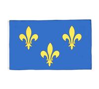 AZ FLAG Drapeau Fleur de Lys Bleu et Or 2 150x90 cm 2 Œillets