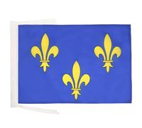 AZ FLAG Drapeau Fleur de Lys Bleu et Or 2 45x30 cm Cordelettes