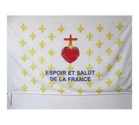 AZ FLAG - Drapeau Fleur de Lys Or ESF - 150x90 cm - Drapeau Royaliste Espoir Et Salut De La France 100% Polyester Avec Fourreau et cordelette - Pavillon 110 g
