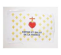Drapeau Fleur de Lys Or ESF 45x30cm - PAVILLON royaliste Espoir et Salut de la France 30 x 45 cm haute qualité - AZ FLAG