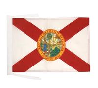 AZ FLAG - Drapeau Floride - 45x30 cm - Pavillon Floridien - Etat Américain - Usa - Etats-Unis 100% Polyester Avec Deux Cordelettes - 20g