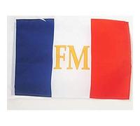 AZ FLAG - Drapeau France Mitterrand - 45x30 cm - Pavillon Français 1981 100% Polyester Avec Deux Cordelettes - 20g