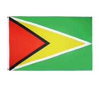 AZ FLAG Drapeau Guyana 90x60 cm Drapeau Guyanien Polyester 100D 2 Œillets | Usage intérieur et extérieur Drapeau décoratif coutures doubles et bords renforcés avec œillets métalliques