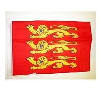 AZ FLAG Drapeau Haute-Normandie 45x30 cm Polyester 100D Cordelettes | Usage intérieur et extérieur Drapeau décoratif bas-normand coutures doubles et bords renforcés