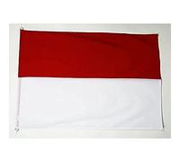 AZ FLAG - Drapeau Indonésie Spécial Extérieur - 150x90 cm - Pavillon Indonésien En Tergal Avec Anneaux en Métal Intégrés - 220g