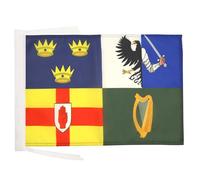 AZ FLAG - Drapeau Irlande 4 provinces - 45x30 cm - Pavillon Irlandais 100% Polyester Avec Deux Cordelettes - 20g