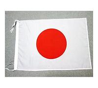 AZ FLAG - Drapeau Japon - 45x30 cm - Pavillon Japonais Polyester Léger avec Deux Cordelettes - 20g