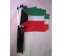 AZ FLAG Drapeau Koweït 15x10cm avec HAMPE - Lot de 10 Drapeaux koweïtien 10 x 15 cm