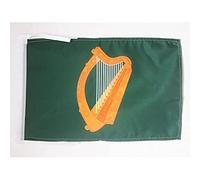 AZ FLAG - Drapeau Leinster - 45x30 cm - Pavillon Irlandais - Irlande 100% Polyester Avec Deux Cordelettes - 20g