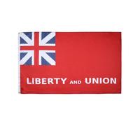 AZ FLAG Drapeau Liberty and Union Taunton 150x90 cm 2 Œillets | Usage intérieur et extérieur Drapeau décoratif Liberté et Union coutures doubles et bords renforcés avec œillets métalliques