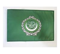 AZ FLAG - Drapeau Ligue des États arabes - 45x30 cm - Pavillon Ligue Arabe 100% Polyester Avec Deux Cordelettes - 20g
