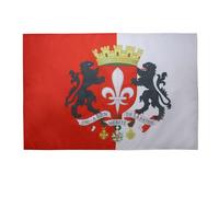 AZ FLAG - Drapeau Lille avec armes - 90x60 cm - Drapeau Lillois Avec Armoiries 100% Polyester Avec Fourreau et Cordelette - Pavillon 50 g