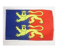 AZ FLAG Drapeau Manche 45x30 cm Français Polyester 100D Cordelettes