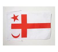 AZ FLAG - Drapeau MicMacs du Québec - 45x30 cm - Pavillon Amérindien 100% Polyester Avec Deux Cordelettes - 20g