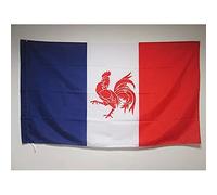 AZ FLAG Drapeau Mouvement Wallonie française 90x60 cm Fourreau | Usage intérieur et extérieur Drapeau décoratif wallon français coutures doubles et bords renforcés avec fourreau pour mât