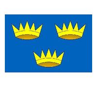 AZ FLAG - Drapeau Munster - 150x90 cm - Drapeau 100% Polyester Avec Oeillets Métalliques Intégrés - Pavillon 110 g