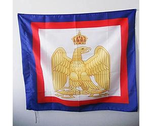 AZ FLAG - Drapeau Napoléon 1er - 90x90 cm - Drapeau Armes Napoléon Bonaparte 100% Polyester Avec Fourreau et Cordelette - Pavillon 80 g