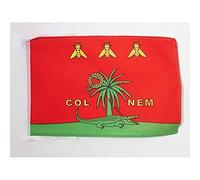 AZ FLAG - Drapeau Nîmes Colnem - 45x30 cm - Pavillon Crocodile Nîmois Romain 100% Polyester Avec Deux Cordelettes - 20g