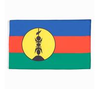 AZ FLAG Drapeau Nouvelle Calédonie 150x90 cm Polyester 100D 2 Œillets | Usage intérieur et extérieur Drapeau décoratif néo-calédonien coutures doubles et bords renforcés avec œillets métalliques