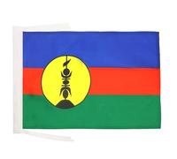 AZ FLAG Drapeau Nouvelle Calédonie 45x30cm - PAVILLON kanak 30 x 45 cm Haute qualité