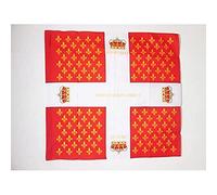 AZ FLAG Drapeau Ordonnance du régiment Colonel-Général 1780-1791 90x90 cm | Usage intérieur et extérieur Drapeau décoratif infanterie du Royaume de France coutures doubles et bords renforcés