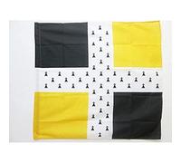 AZ FLAG - Drapeau Ordonnance du régiment de Bretagne 1651-1740 - 90x90 cm - Drapeau Infanterie Du Royaume De France 100% Polyester Avec Fourreau et Cordelette - Pavillon 80 g