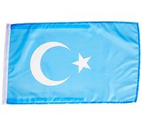 AZ FLAG - Drapeau Ouïghours - 45x30 cm - Pavillon Des Ouïgours 100% Polyester Avec Deux Cordelettes - 20g
