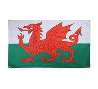 AZ FLAG Drapeau Pays de Galles 150x90 cm avec 4 oeillets, Pavillon Gallois pour balcon ou mur